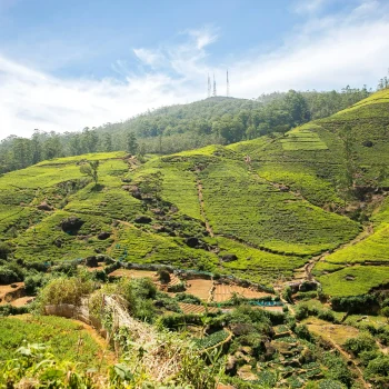 egle-sidaraviciute-ueBzLdRhhxQ-unsplash