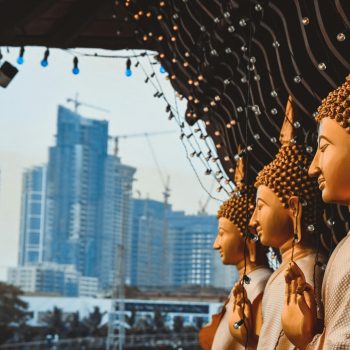 nilanka-kariyawasam-10Vdi0Bb9mw-unsplash