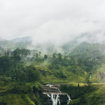 pexels-isharakasthuriarachchi-10180570